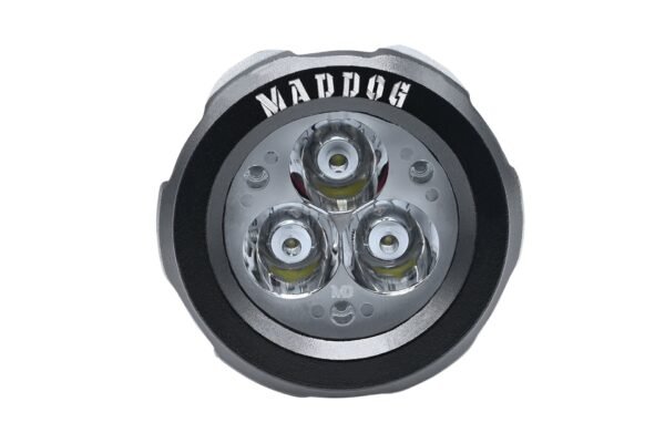 mad dog scout